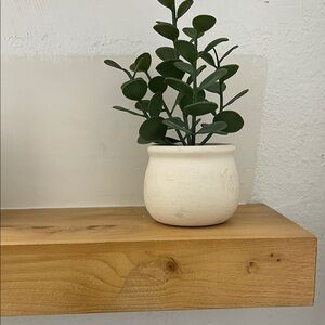 White Ceramic Planter with Green Plant